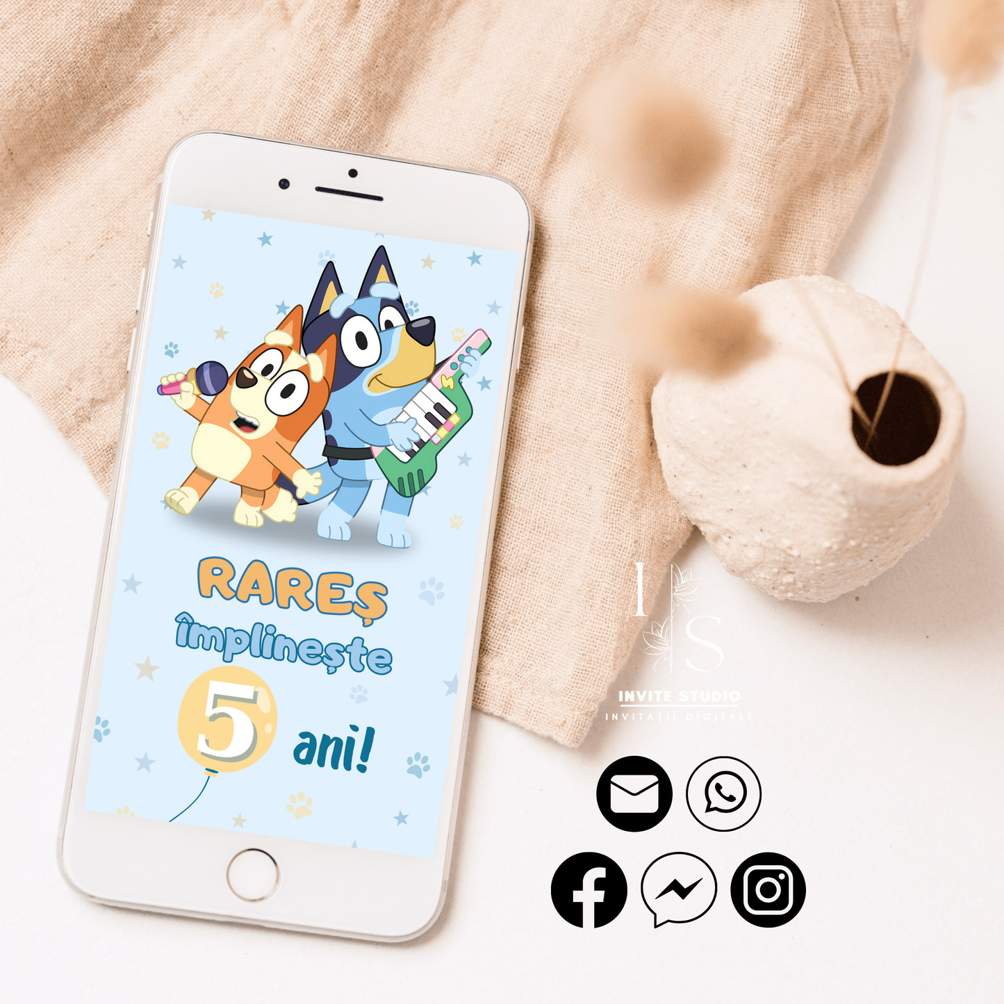 Invitație Video Bluey si Bingo