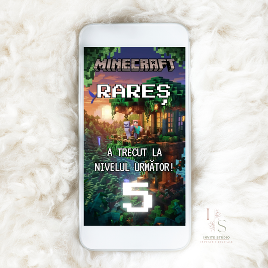 Invitație Video Minecraft